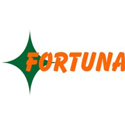 Fortuna Impex Pvt Ltd Logo